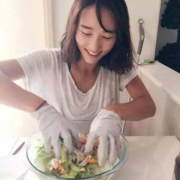 植物乱斗手游下载